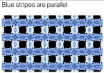 sono linee parallele